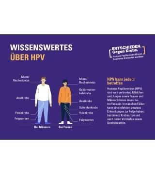 HPV Postkarte
